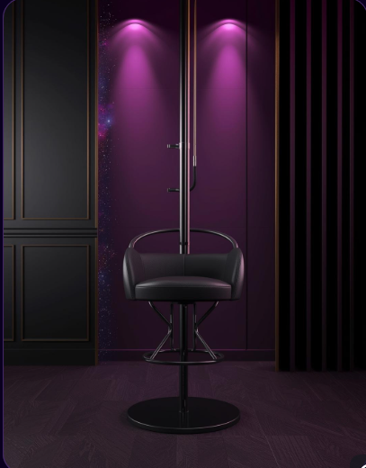 Dance Pole Chair Adapter